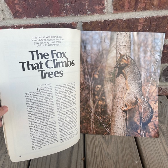 Vintage Preowned National Wildlife Magazine June July 1977 - Picture 6 of 7